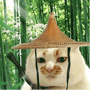 百万女Coser为出片,穿着黑丝高跟步行登泰山拍照,风雨交加,网友热评:没苦硬吃!