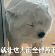 篮球巨星易建联疑p变性人,网友曝光现场照片,引发网友热议!