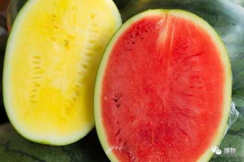 揭秘网络热点背后的故事