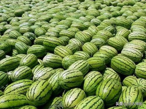 今日吃瓜热门大瓜