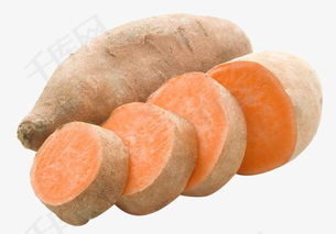 地瓜视频免费下载安装指南