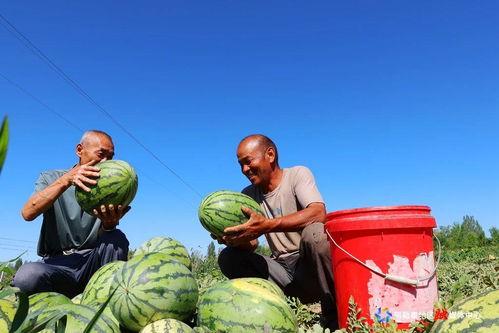 51cg今日吃瓜热门大瓜路线最新