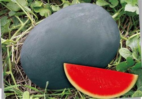 17cgcg吃瓜网黑料爆料,17cgcg吃瓜网黑料爆料在线看