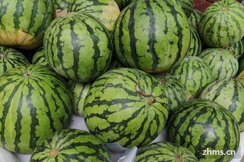 51cg吃瓜网今日吃瓜