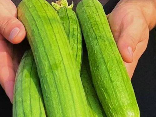 51cg吃瓜网今日吃瓜