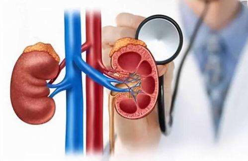 做CT吃饭了有影响吗?全面解析CT检查前的饮食注意事项