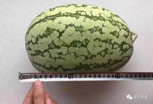 51cg今日吃瓜热门大瓜路线最新