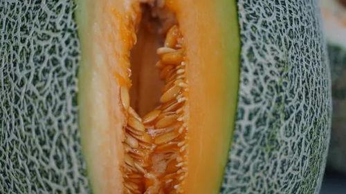 51cg今日吃瓜热门大瓜路线最新