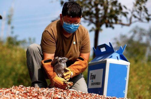 城市文明的温暖力量