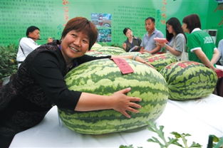 51cg今日吃瓜热门大瓜路线最新