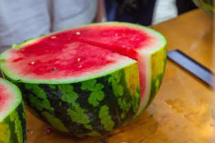 各大高校的瓜,你吃了吗?