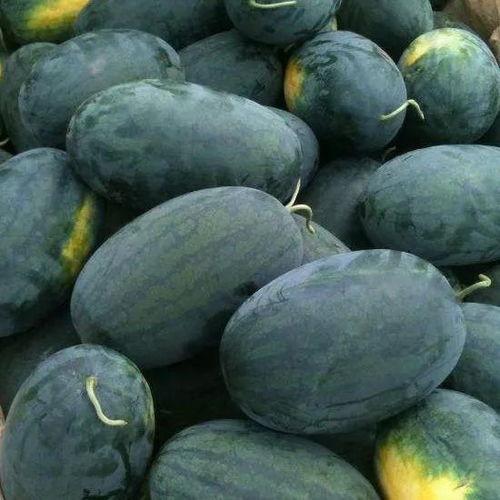 真相与谣言的交织