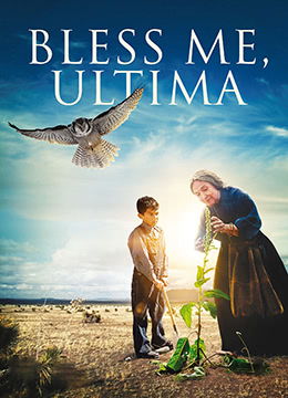 最近更新中文字幕第1电影