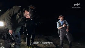 最近更新中文字幕第1电影