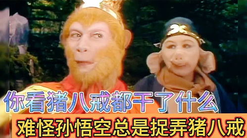 八戒八戒看片在线观看免费,畅享海量影视资源