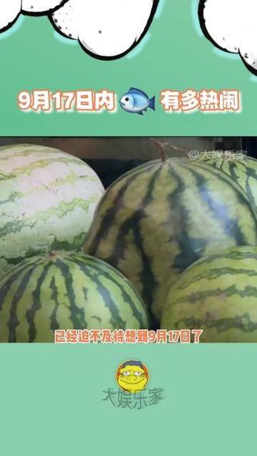 明星动态、作品发布与热点事件盘点