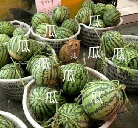 明星动态、作品发布与热点事件盘点