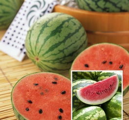 51cg今日吃瓜热门大瓜路线最新