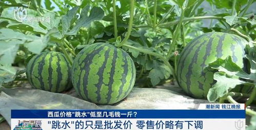 51cg今日吃瓜热门大瓜路线最新