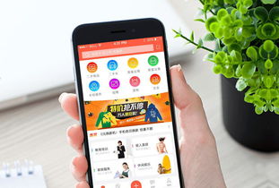 投资者的得力助手