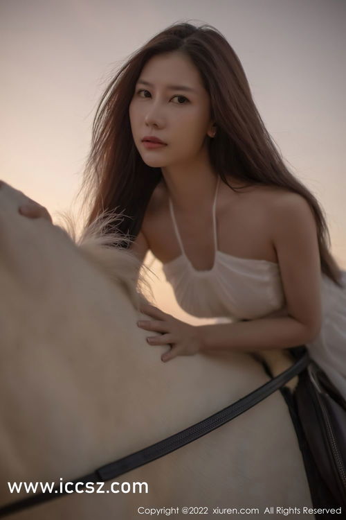 真相与误解的交织