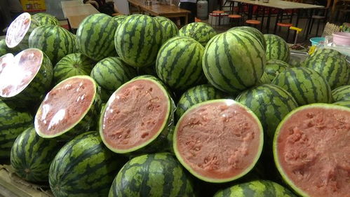 品种繁多,市场繁荣