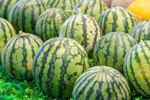 品种繁多,市场繁荣