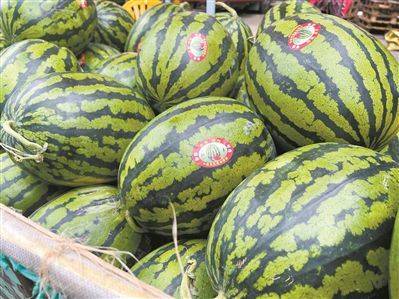 品种繁多,市场繁荣