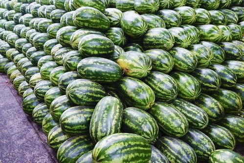 品种繁多,市场繁荣