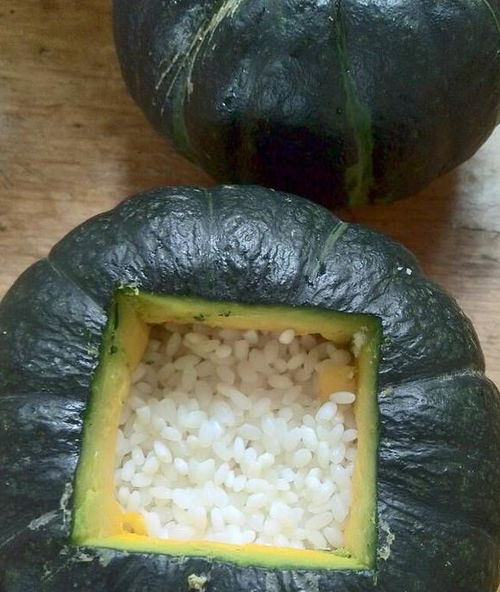 网络社交的新趋势