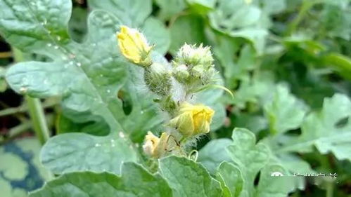 【影视动态】于适新电影定档,刘晓庆婚内出轨传闻再起