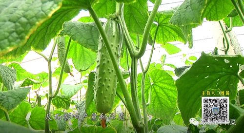 娱乐圈近期热点事件大盘点