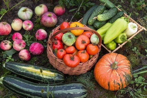 吃瓜爆料入口51cg吃瓜