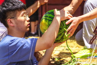 各大高校的瓜,你吃了吗?