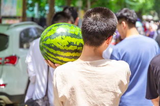 各大高校的瓜,你吃了吗?