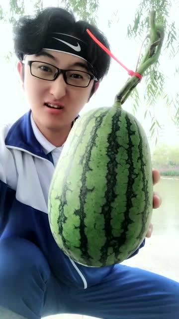 各大高校的瓜,你吃了吗?