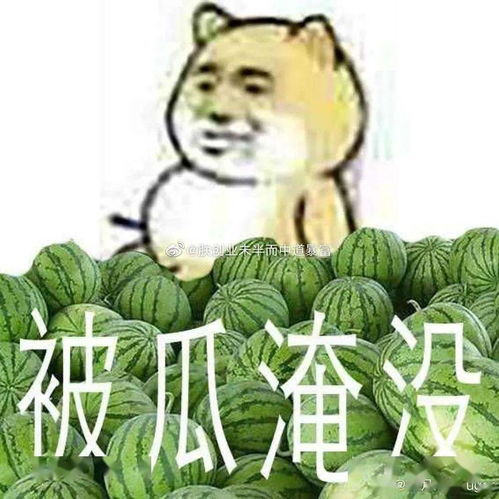 黑料吃瓜网