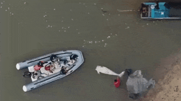 泰国惊现美人鱼无头尸,这世界上真有美人鱼?