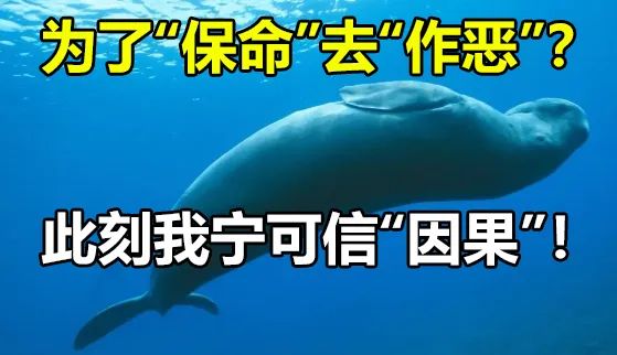 泰国惊现美人鱼无头尸,这世界上真有美人鱼?