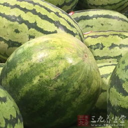 155.su黑料吃瓜网入口