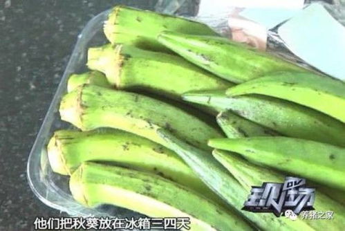 155.su黑料吃瓜网入口