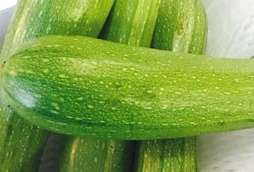 155.su黑料吃瓜网入口