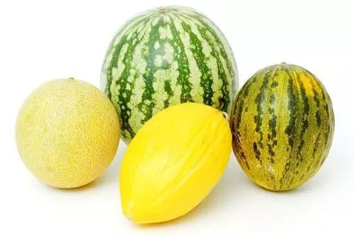 吃瓜爆料入口51cg吃瓜