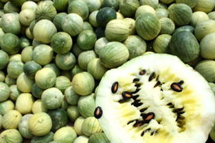 17cgcg吃瓜网黑料爆料,17cgcg吃瓜网黑料爆料在线看