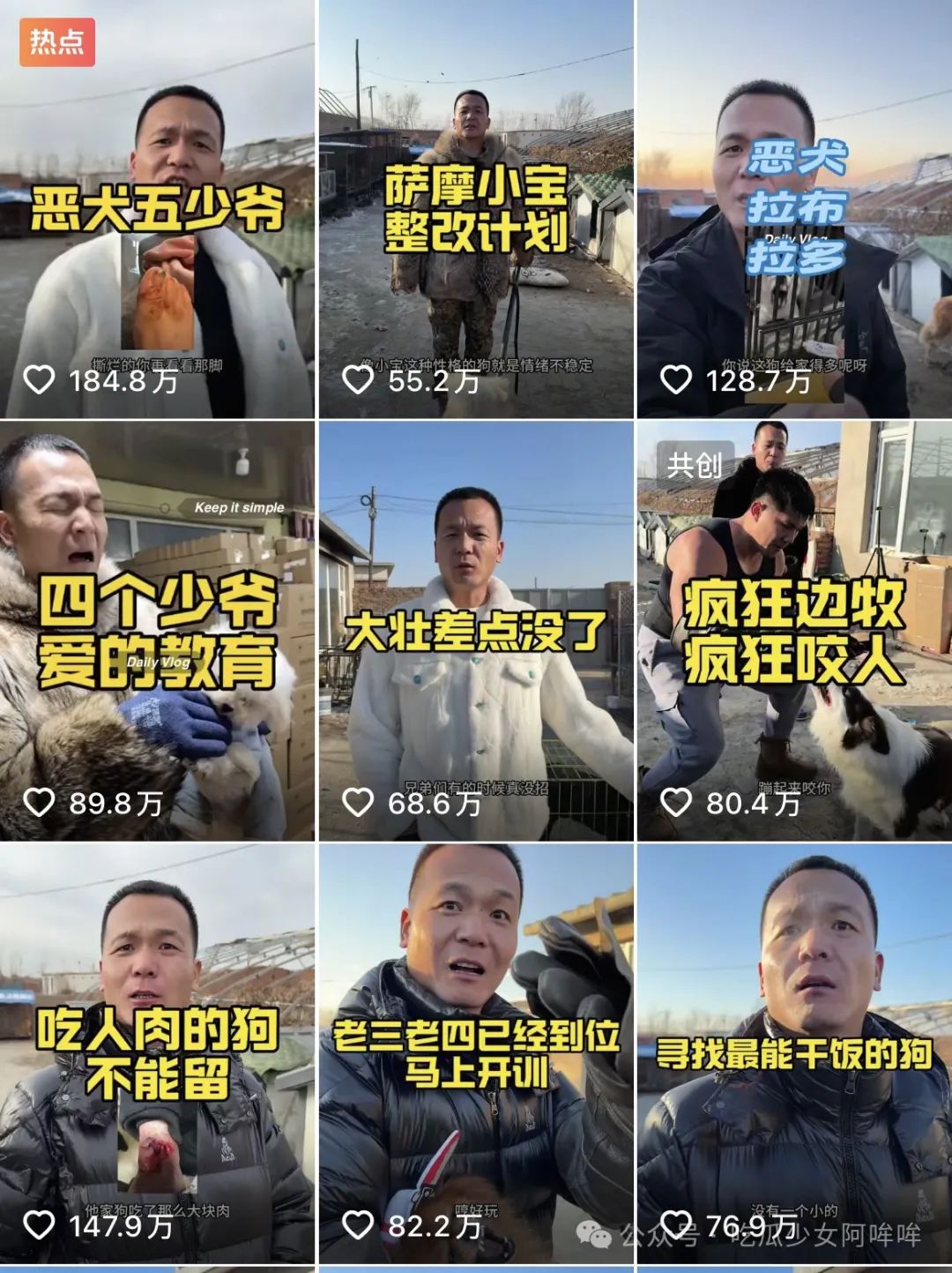 千万网红直播出意外把狗洗死,女明星发文谴责其“是为流量是谋杀”,网红回应:真的是一场意外!