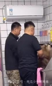 千万网红直播出意外把狗洗死,女明星发文谴责其“是为流量是谋杀”,网红回应:真的是一场意外!