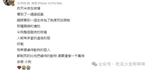 千万网红直播出意外把狗洗死,女明星发文谴责其“是为流量是谋杀”,网红回应:真的是一场意外!