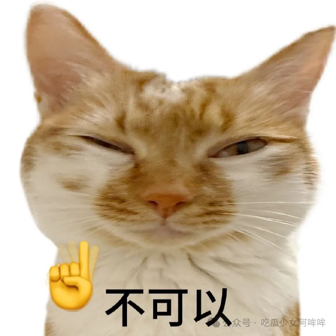 电竞选手网恋被骗23w后失联!女友装可怜骗其几十万,反手全给男主播刷礼物!疑成为胖猫2.0!网友心急如焚