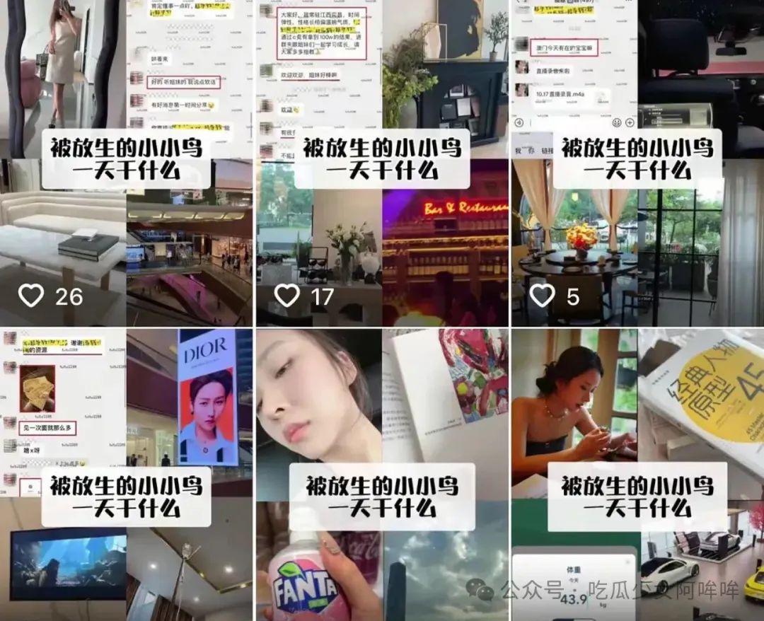 假冒白富美邀未成年进群,交2888天价会费,教你捞大哥钱,网友:太刑了!