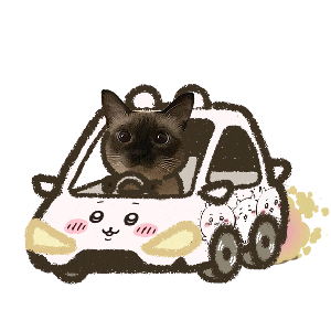 假冒白富美邀未成年进群,交2888天价会费,教你捞大哥钱,网友:太刑了!